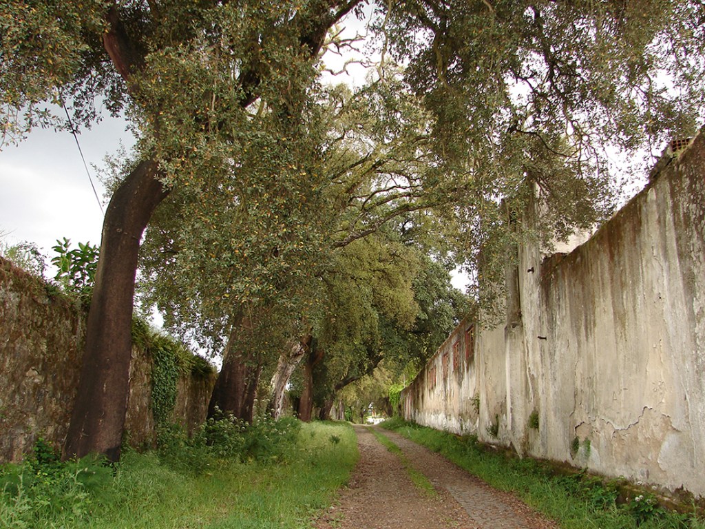 riverine industrial obsolescence